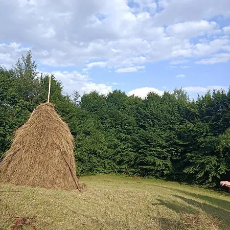 Feriehus Casuta De Pe Deal
