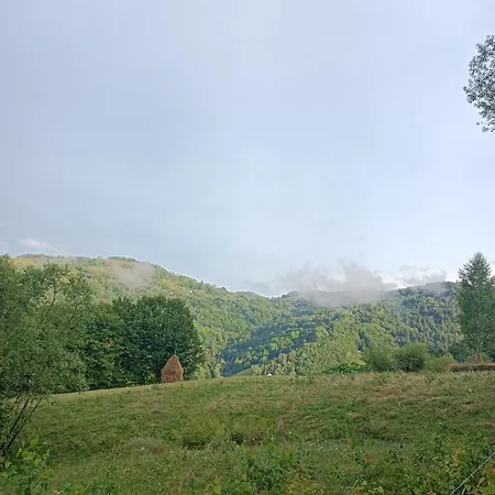 Casuta De Pe Deal Feriehus Sohodol (Alba)